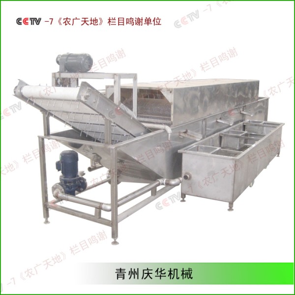 豆芽清洗殺菌機(jī)